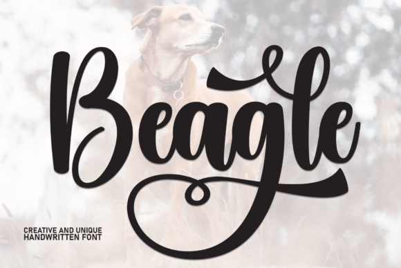 Beagle: The Script Font That Elevates Your Brand's Visual Story