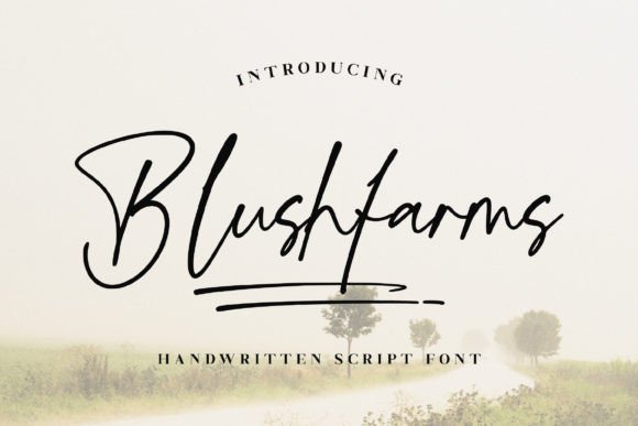 Blushfarms: The Signature Typeface for Editorial Calm